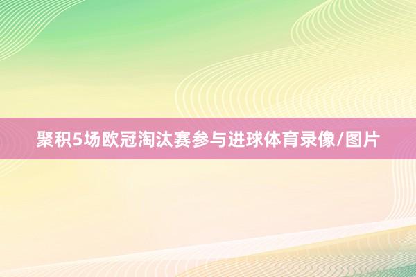 聚积5场欧冠淘汰赛参与进球体育录像/图片
