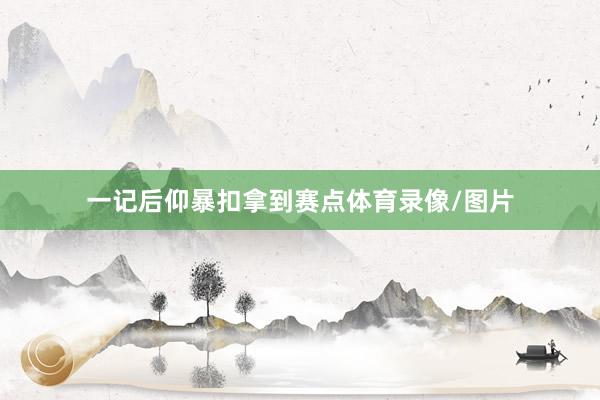 一记后仰暴扣拿到赛点体育录像/图片
