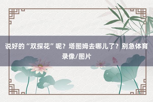 说好的“双探花”呢？塔图姆去哪儿了？别急体育录像/图片