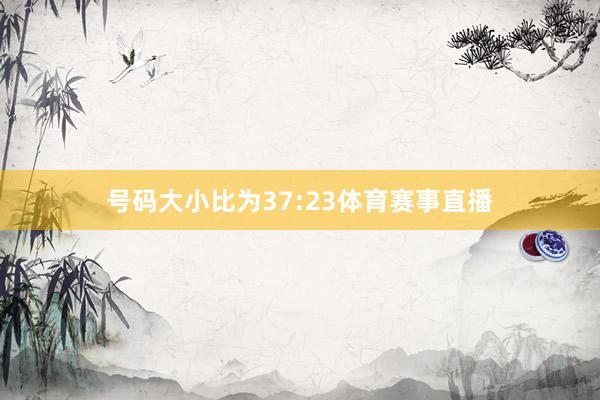 号码大小比为37:23体育赛事直播