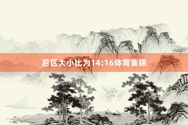 后区大小比为14:16体育集锦