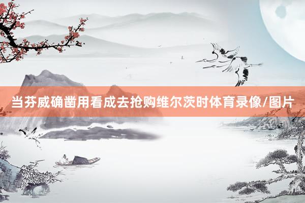 当芬威确凿用看成去抢购维尔茨时体育录像/图片