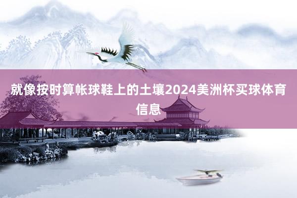 就像按时算帐球鞋上的土壤2024美洲杯买球体育信息
