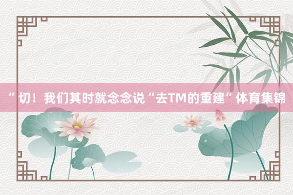 ”切！我们其时就念念说“去TM的重建”体育集锦