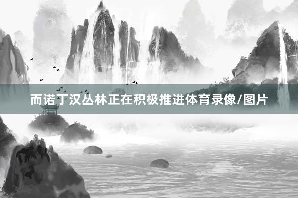 而诺丁汉丛林正在积极推进体育录像/图片
