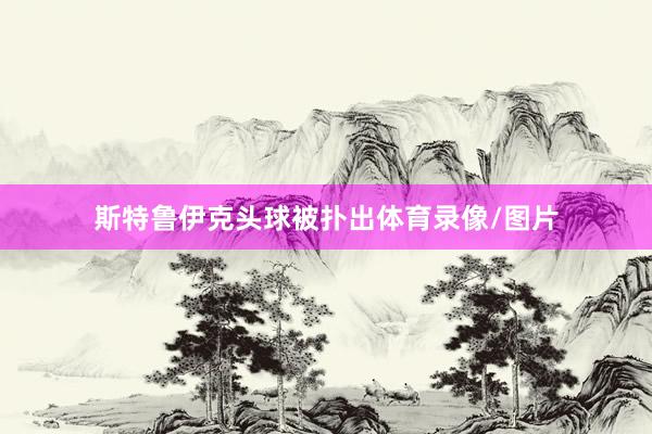 斯特鲁伊克头球被扑出体育录像/图片