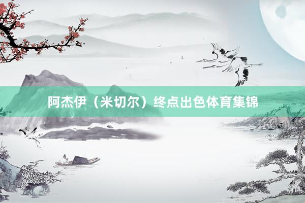 阿杰伊（米切尔）终点出色体育集锦