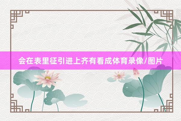 会在表里征引进上齐有看成体育录像/图片