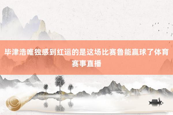 毕津浩唯独感到红运的是这场比赛鲁能赢球了体育赛事直播