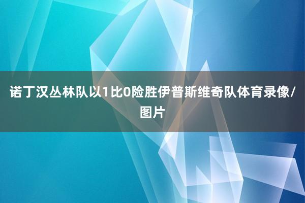 诺丁汉丛林队以1比0险胜伊普斯维奇队体育录像/图片