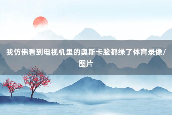 我仿佛看到电视机里的奥斯卡脸都绿了体育录像/图片