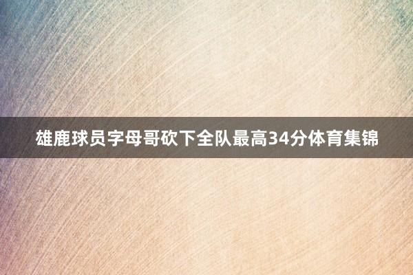 雄鹿球员字母哥砍下全队最高34分体育集锦