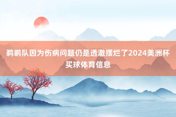 鹈鹕队因为伤病问题仍是透澈摆烂了2024美洲杯买球体育信息