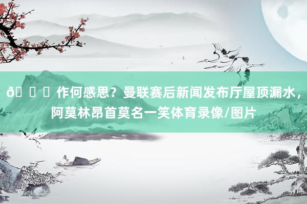 😅作何感思？曼联赛后新闻发布厅屋顶漏水，阿莫林昂首莫名一笑体育录像/图片