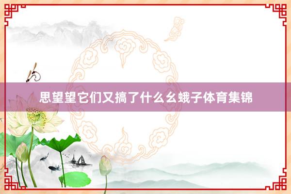 思望望它们又搞了什么幺蛾子体育集锦