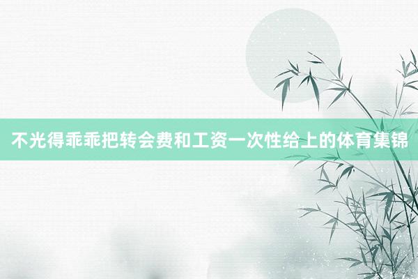 不光得乖乖把转会费和工资一次性给上的体育集锦
