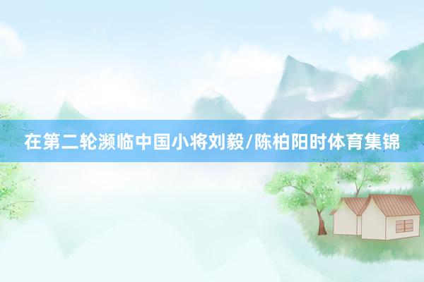 在第二轮濒临中国小将刘毅/陈柏阳时体育集锦