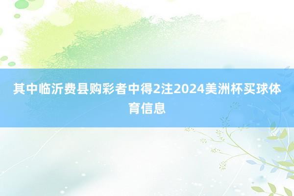 其中临沂费县购彩者中得2注2024美洲杯买球体育信息