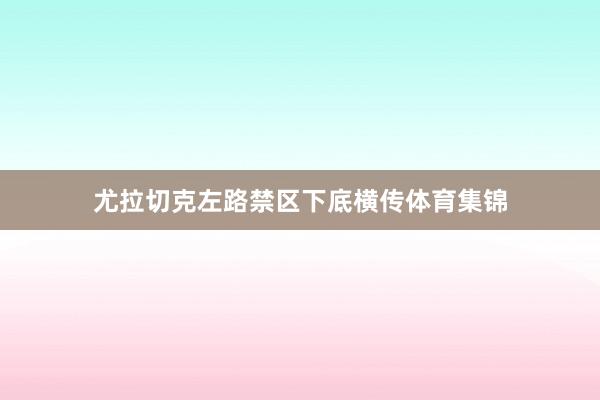 尤拉切克左路禁区下底横传体育集锦