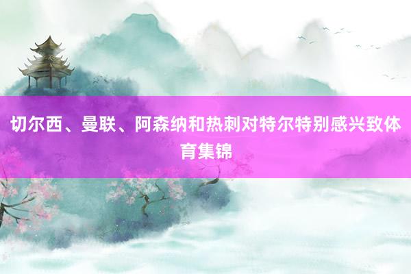 切尔西、曼联、阿森纳和热刺对特尔特别感兴致体育集锦