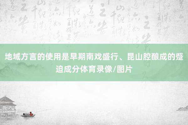 地域方言的使用是早期南戏盛行、昆山腔酿成的蹙迫成分体育录像/图片