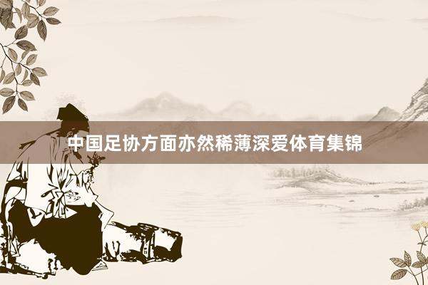 中国足协方面亦然稀薄深爱体育集锦