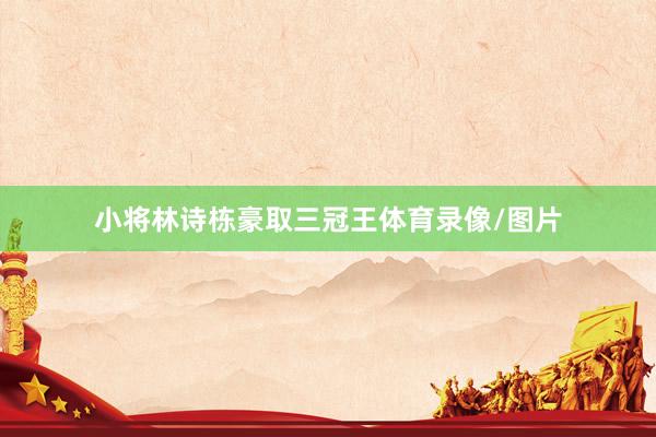 小将林诗栋豪取三冠王体育录像/图片