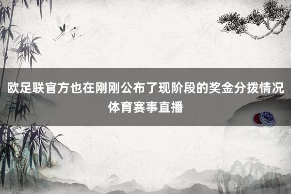 欧足联官方也在刚刚公布了现阶段的奖金分拨情况体育赛事直播
