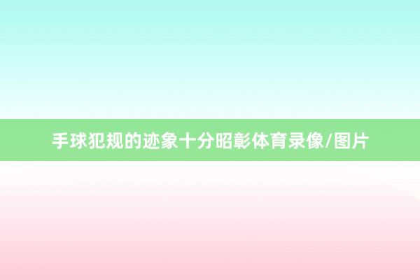 手球犯规的迹象十分昭彰体育录像/图片