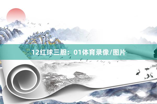 12  红球三胆:01体育录像/图片