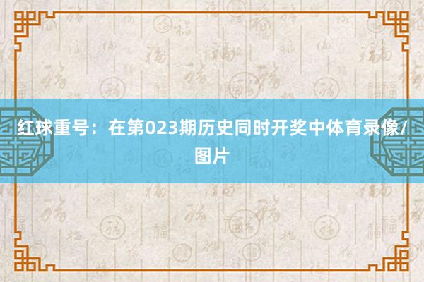 红球重号:在第023期历史同时开奖中体育录像/图片