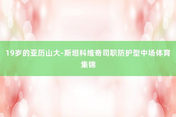 19岁的亚历山大-斯坦科维奇司职防护型中场体育集锦