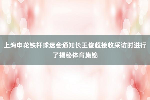 上海申花铁杆球迷会通知长王俊超接收采访时进行了揭秘体育集锦