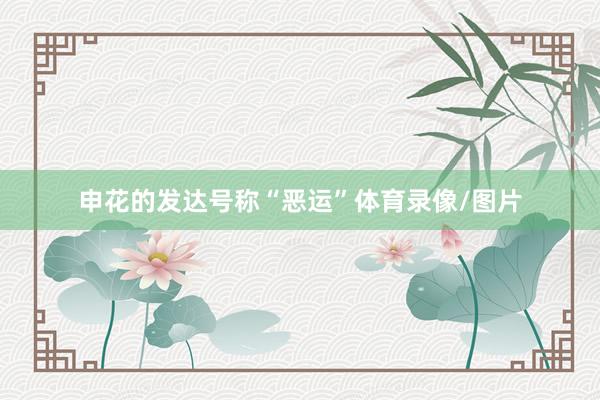 申花的发达号称“恶运”体育录像/图片