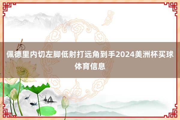 佩德里内切左脚低射打远角到手2024美洲杯买球体育信息