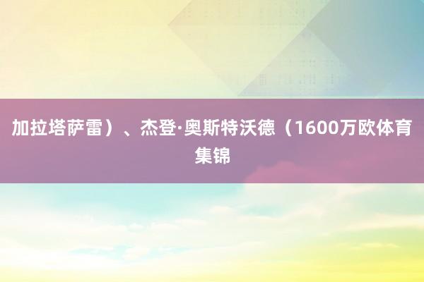加拉塔萨雷）、杰登·奥斯特沃德（1600万欧体育集锦