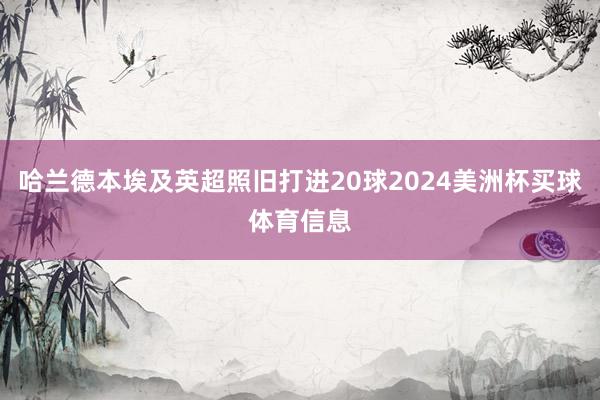 哈兰德本埃及英超照旧打进20球2024美洲杯买球体育信息