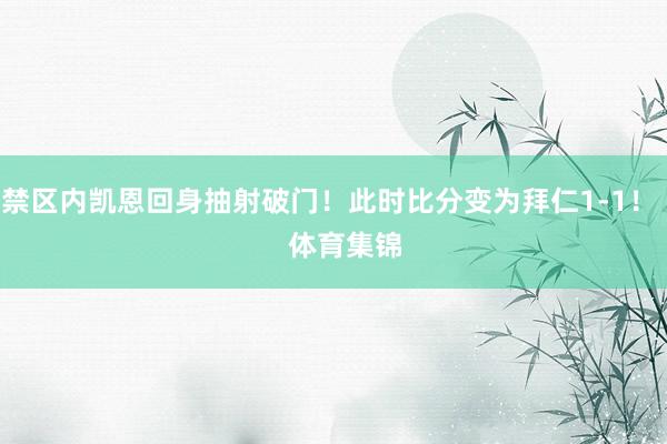 禁区内凯恩回身抽射破门！此时比分变为拜仁1-1！    体育集锦