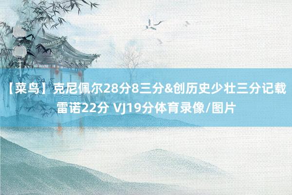 【菜鸟】克尼佩尔28分8三分&创历史少壮三分记载 雷诺22分 VJ19分体育录像/图片