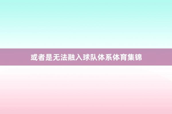或者是无法融入球队体系体育集锦