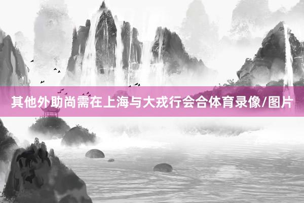 其他外助尚需在上海与大戎行会合体育录像/图片