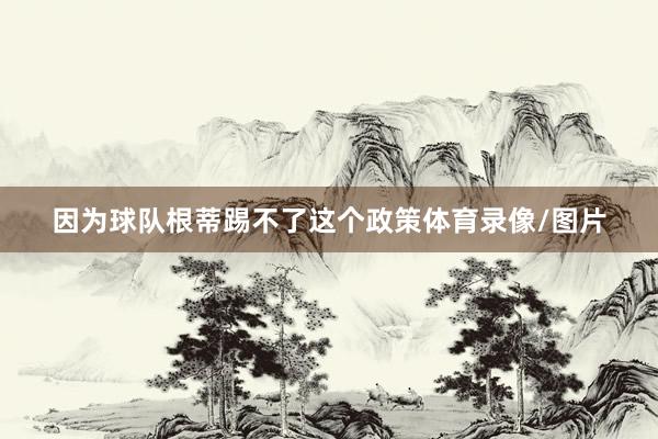因为球队根蒂踢不了这个政策体育录像/图片