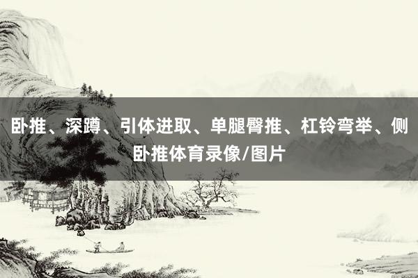 卧推、深蹲、引体进取、单腿臀推、杠铃弯举、侧卧推体育录像/图片