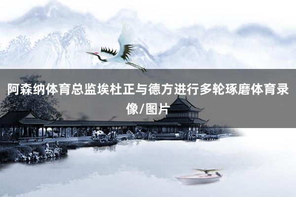 阿森纳体育总监埃杜正与德方进行多轮琢磨体育录像/图片