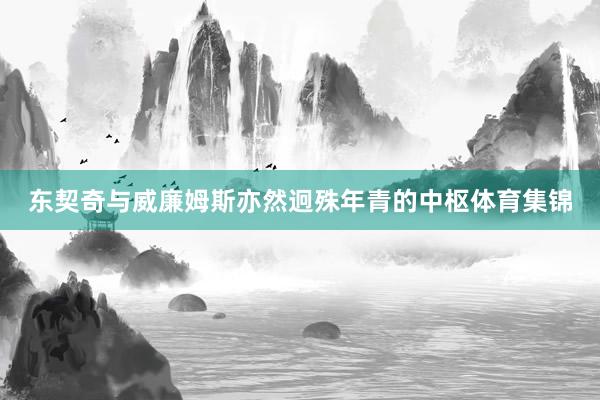 东契奇与威廉姆斯亦然迥殊年青的中枢体育集锦