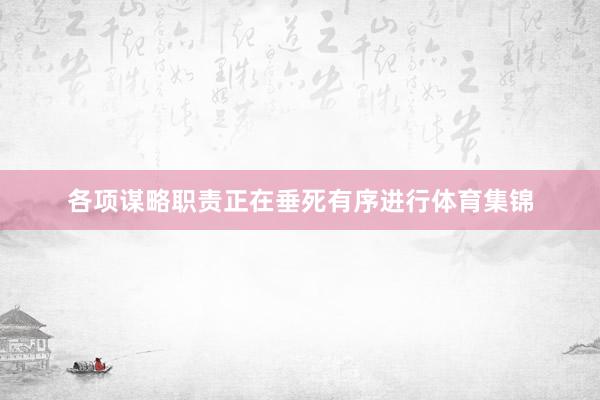 各项谋略职责正在垂死有序进行体育集锦
