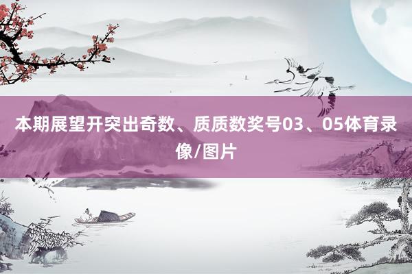 本期展望开突出奇数、质质数奖号03、05体育录像/图片