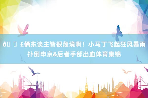 😣俩东谈主皆很危境啊！小马丁飞起狂风暴雨扑倒申京&后者手部出血体育集锦