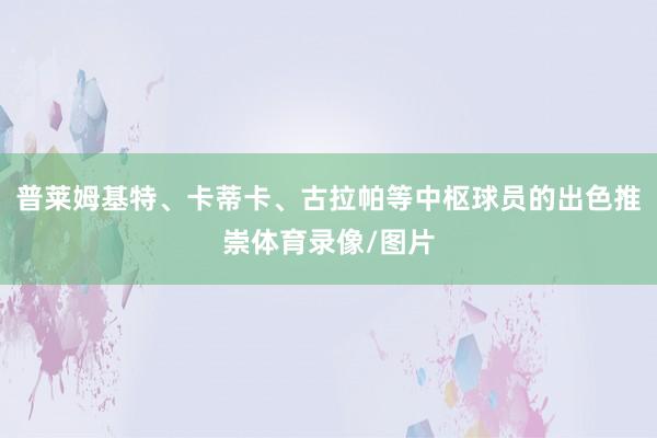 普莱姆基特、卡蒂卡、古拉帕等中枢球员的出色推崇体育录像/图片