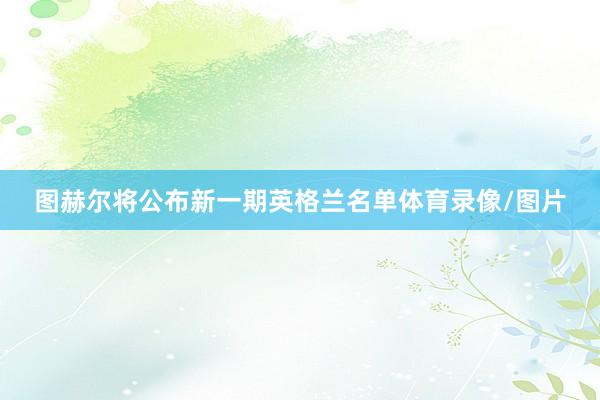 图赫尔将公布新一期英格兰名单体育录像/图片